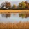 a body of water with grass and trees around it